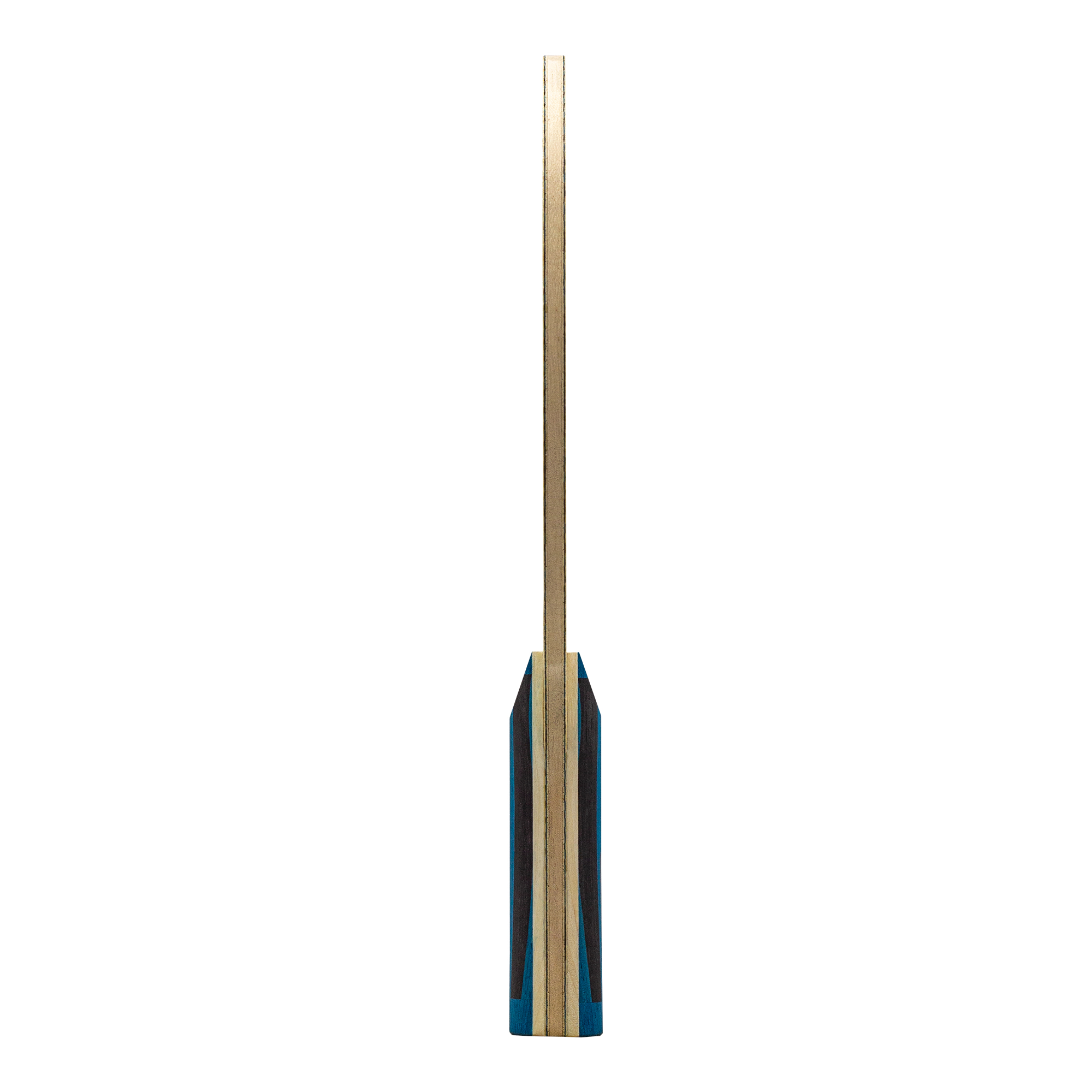 Lame de tennis de table SANWEI - Table Tennis Launcher avis et prix